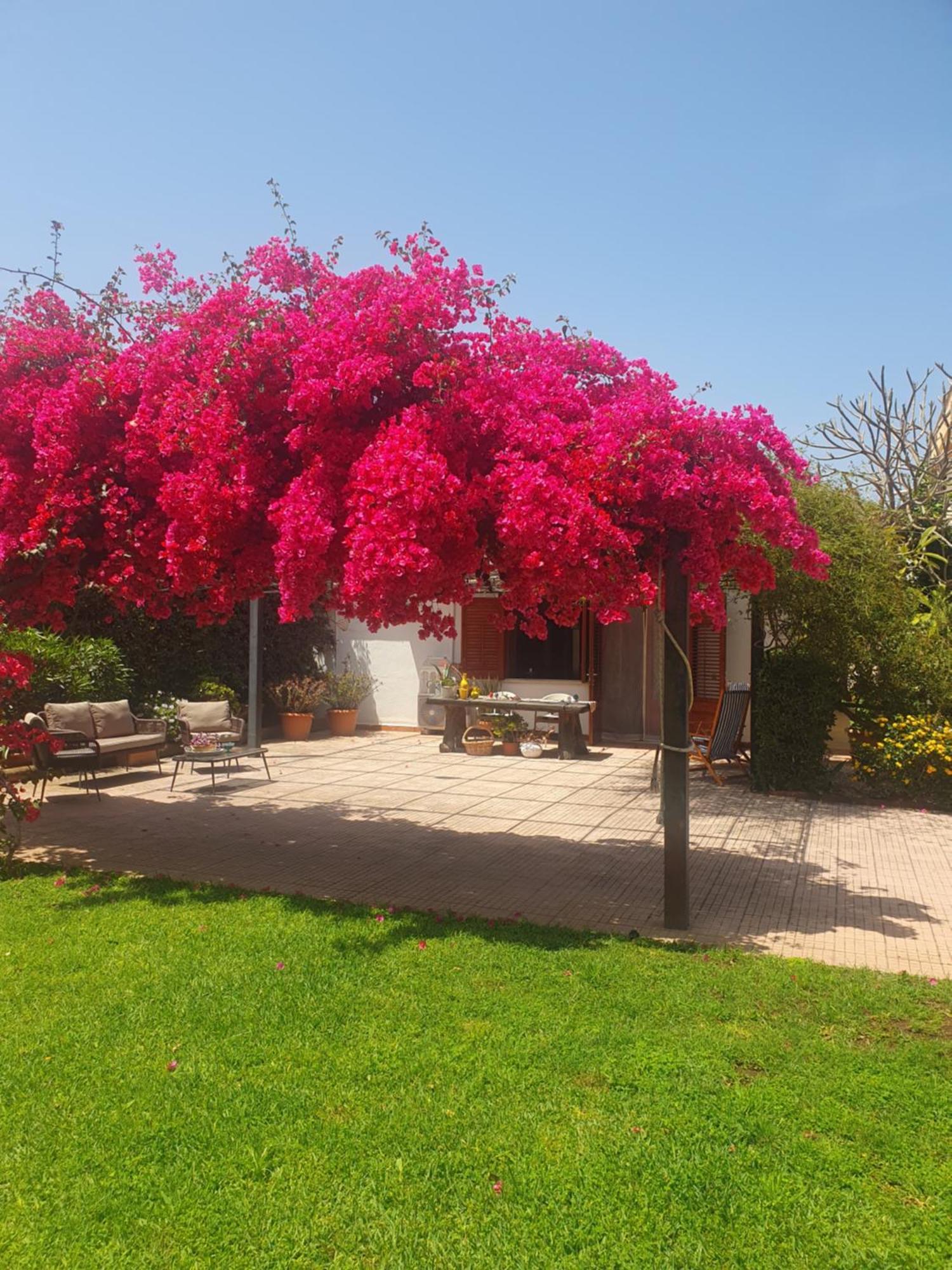 La Depandance Di Villa Rosa Locazioni Brevi Mondello Kültér fotó