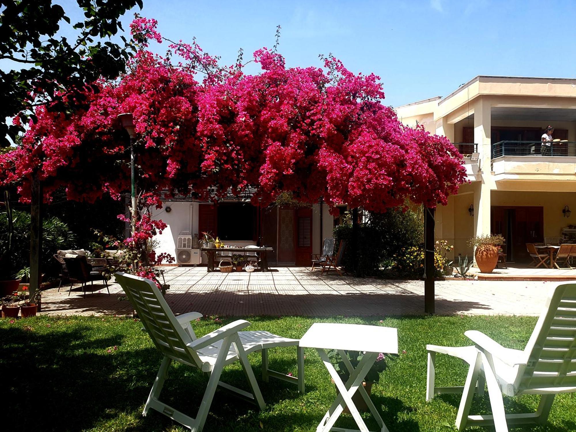 La Depandance Di Villa Rosa Locazioni Brevi Mondello Kültér fotó
